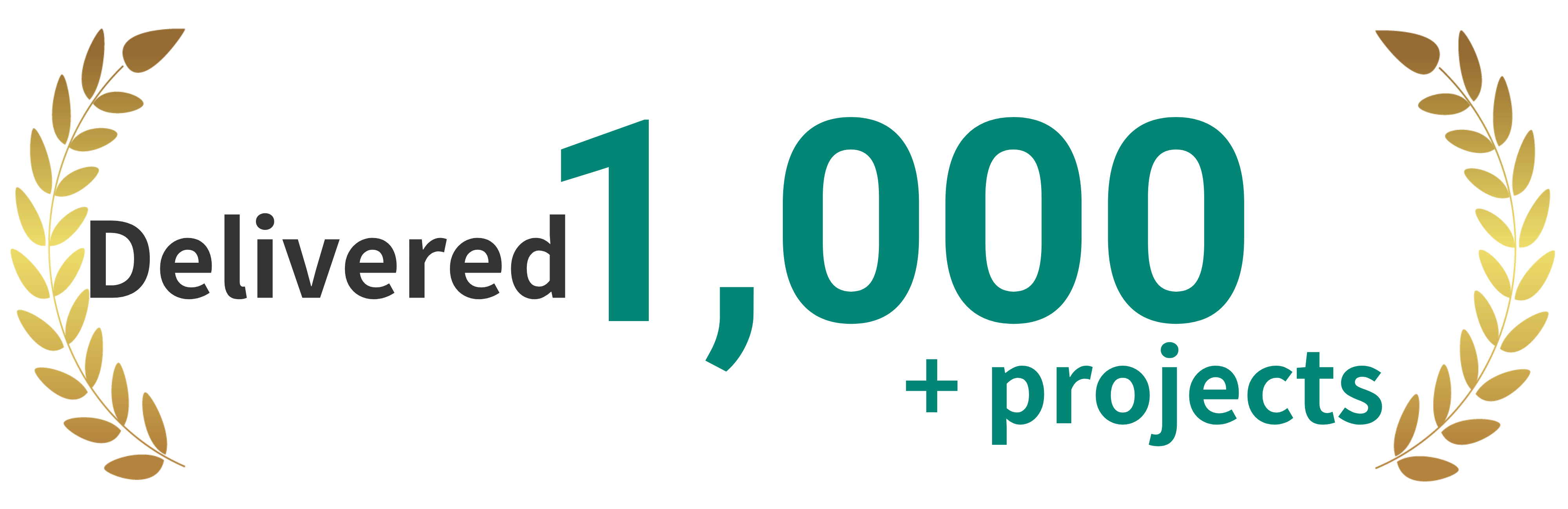 1,000+ projects delivered