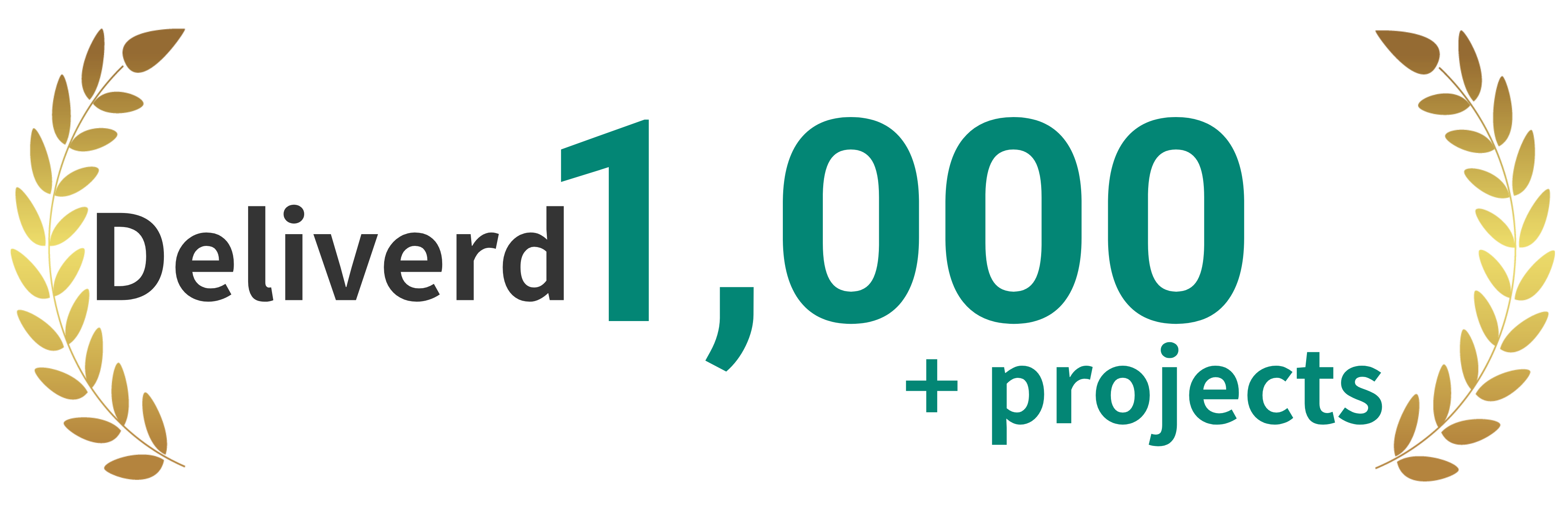 1,000+ projects delivered